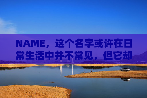 NAME,这个名字或许在日常生活中并不常见,但它却在某些领域里扮演着重要的角色。今天,让我们一起来探索这个名字背后的故事和意义
